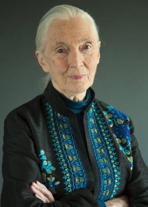 Jane Goodall